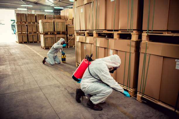 Best Ant Control Services  in Sunnyside, GA