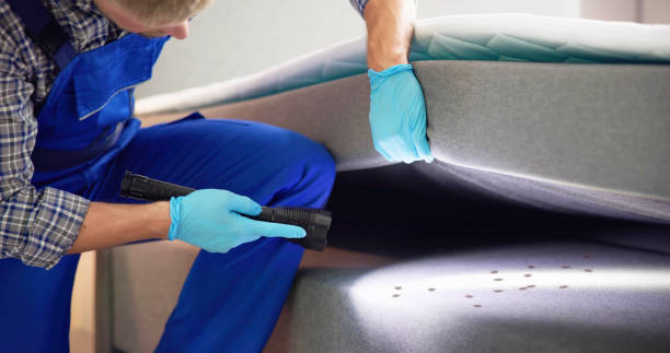 Best Pest Control Near Me  in Sunnyside, GA