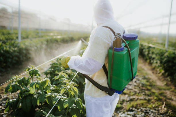 Best Commercial Pest Control Services  in Sunnyside, GA